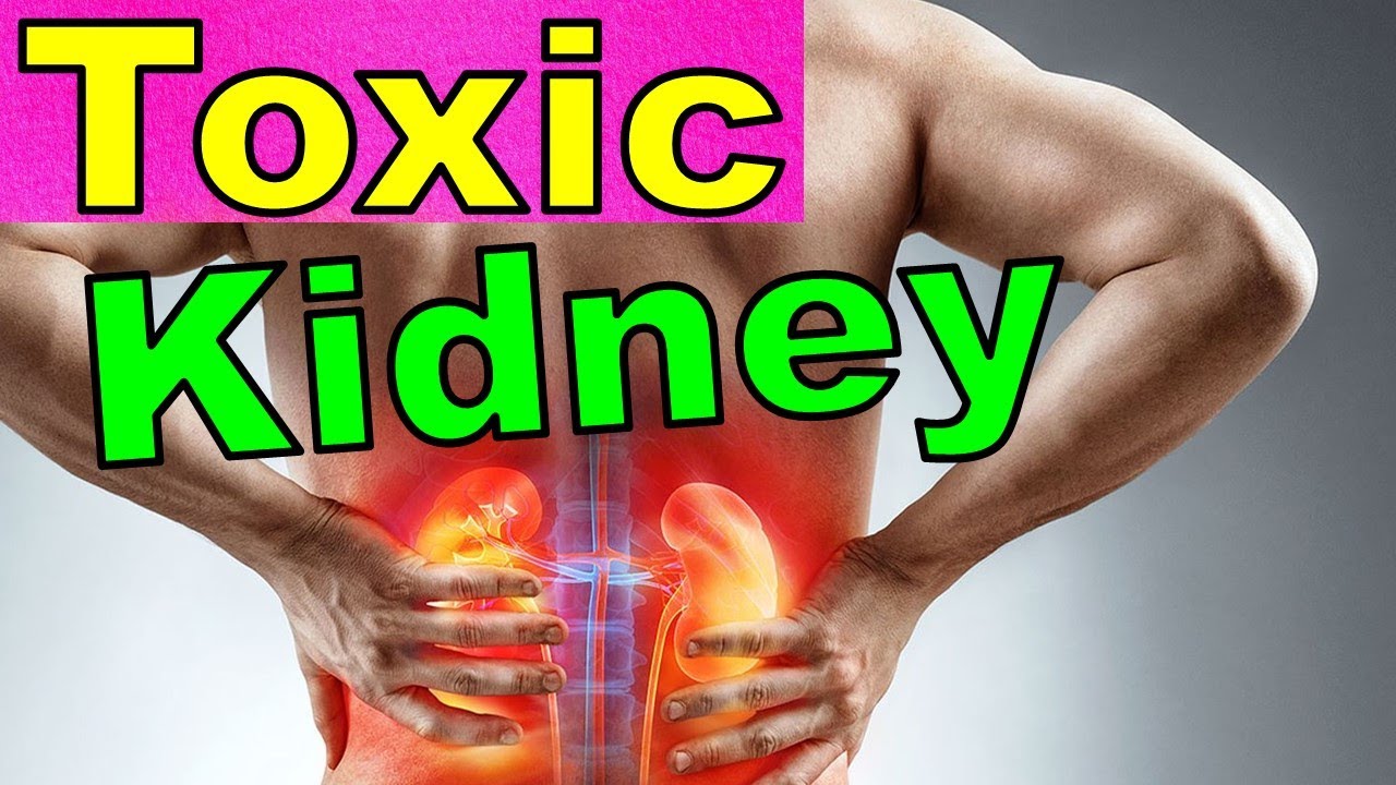 14 Warning Signs of Toxic or Diseased Kidneys. YouTube