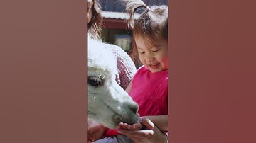 Spring Summer 2025 | Bronx Zoo (15)