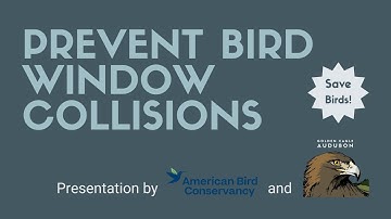 Prevent Bird Window Collisions - Presentation by American Bird Conservancy