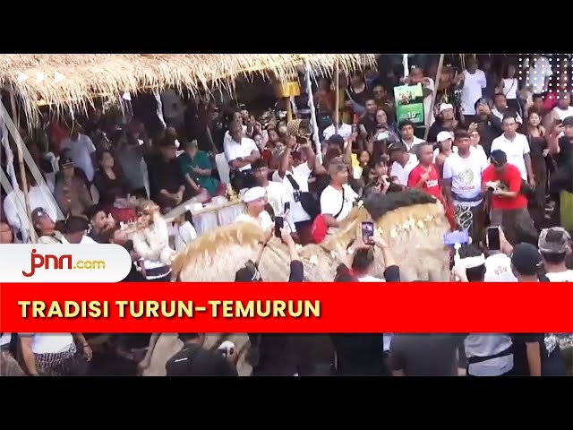 Omed-Omedan, Tradisi Muda-Mudi Setelah Nyepi di Bali