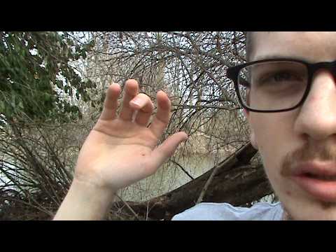 asmr ~ focus on me in nature 🌿 (w/ camcorder)