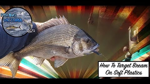 How to Target Bream On Soft Plastics