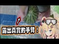 放送事故!?直播時露出了手臂....為了用橡皮筋切西瓜...【赤井はあと】【Vtuber精華】【哈洽馬】【hololive中文】【はあちゃま切り抜き】【赤井心】