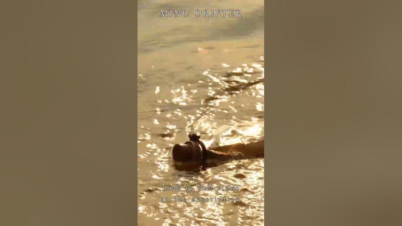 Adrian Berenguer - Life - epic relaxation short - Mind Drifter