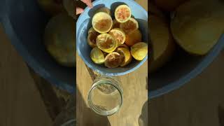 Easy Eco Friendly Cleaning Solution