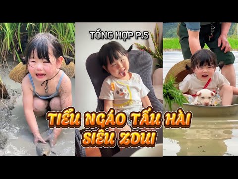 Tổng Hợp Tiểu