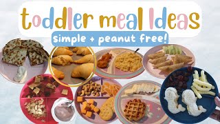 Peanut free toddler meal ideas