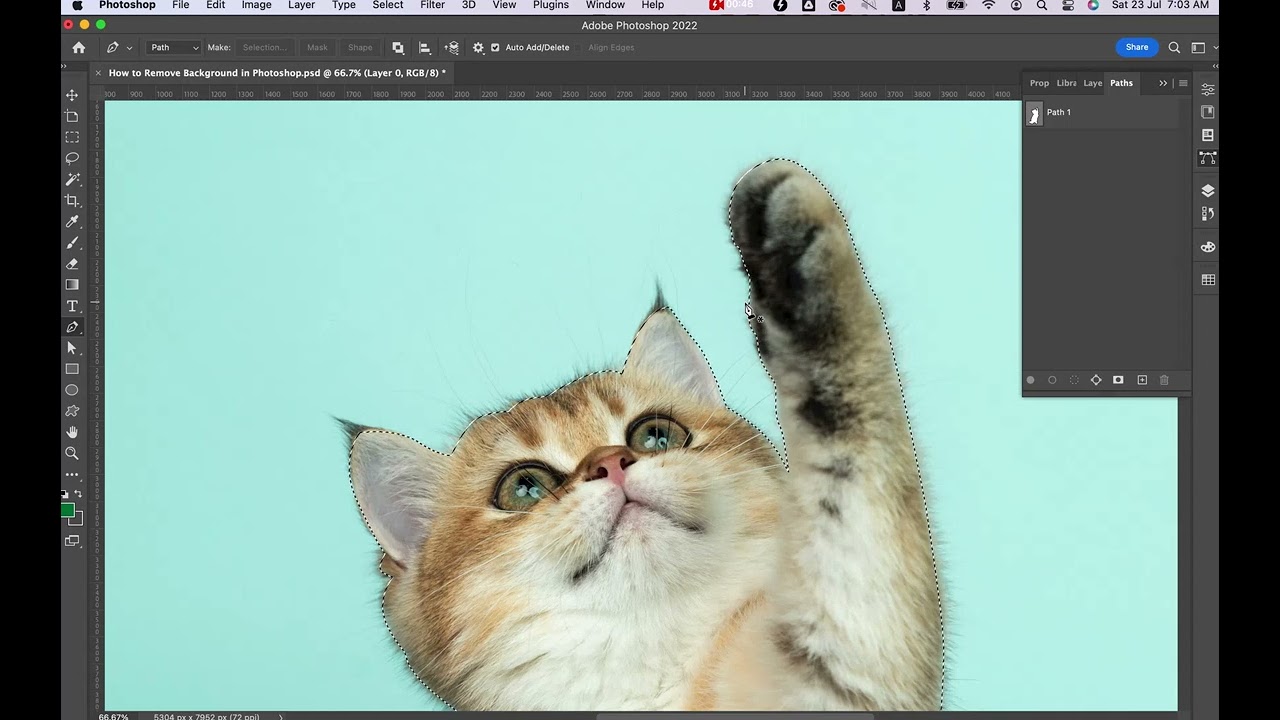 How to Remove Background in Photoshop: 7 Quick Ways