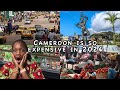 Detailed breakdown of cost of living in cameroon 2024 pt 1  cost of living in douala
