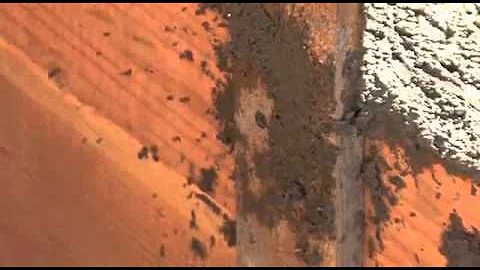 RemoveRite innovative Duplex Screws