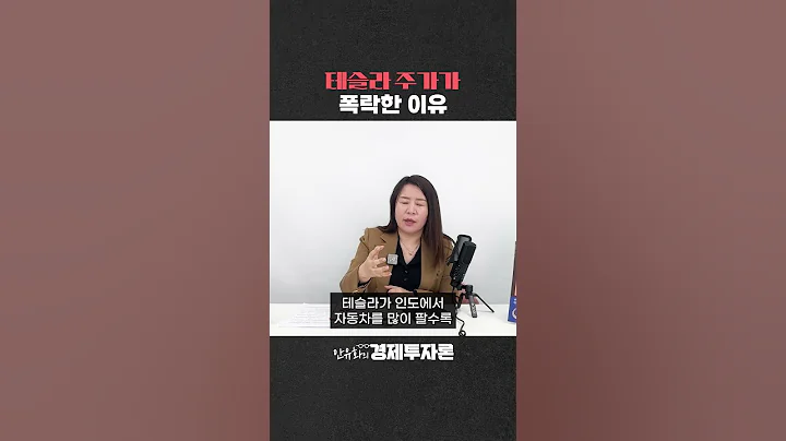 테슬라 주가가 폭락한 이유