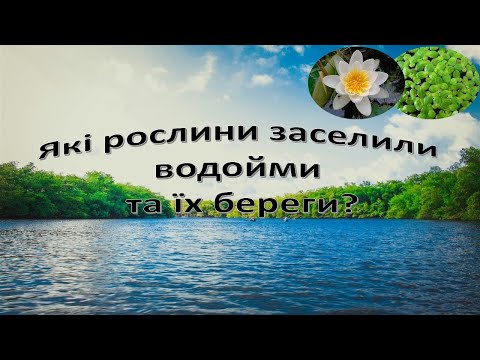 Урок 57 "Які рослини заселили водойми та їх береги?" Я досліджую світ 3 клас.