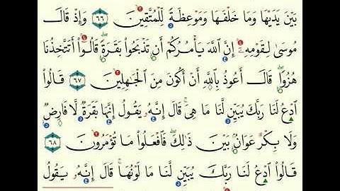 (8) سورة البقرة  من 67 الى 74