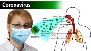Symptoms of Coronavirus Infection or COVID-19 (2019-nCoV) & Its Treatment