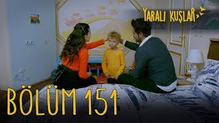 Yaralı Kuşlar 151. Bölüm