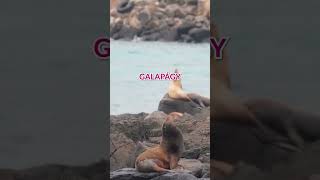 Kam Vyrazit V Únoru Na Dovolenou?