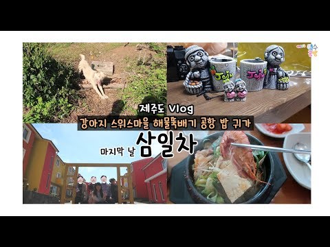 2박3일 제주도 여행 마지막날 브이로그 - 나드레의 백수공방