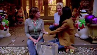 Underrated Real Housewives Moment: Countess LuAnn de Lesseps in the Berkshires