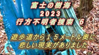 富士の樹海 2023 行方不明者捜索 ６　遊歩道から１５メートル奥に悲しい現実がありました