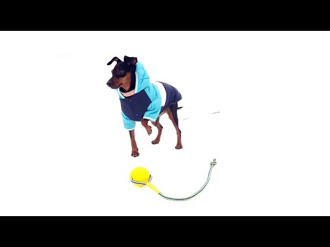 Игрушка для собаки🐶 с #Aliexpress Игрушка для собаки🐶 с #Aliexpress