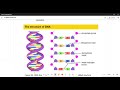 Life Sciences Grade 12 DNA @MATRICNATEDSPECIALIST