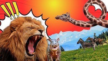 Con Gì Đây? Dạy Bé Học Con Vật || Khám Phá Động Vật Hoang Dã Cùng Bé.