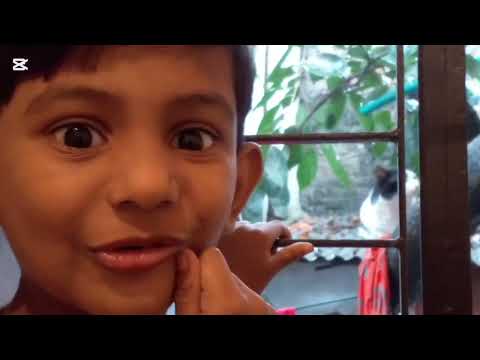 বিড়ালের সাথে বন্ধুত্য😄😄