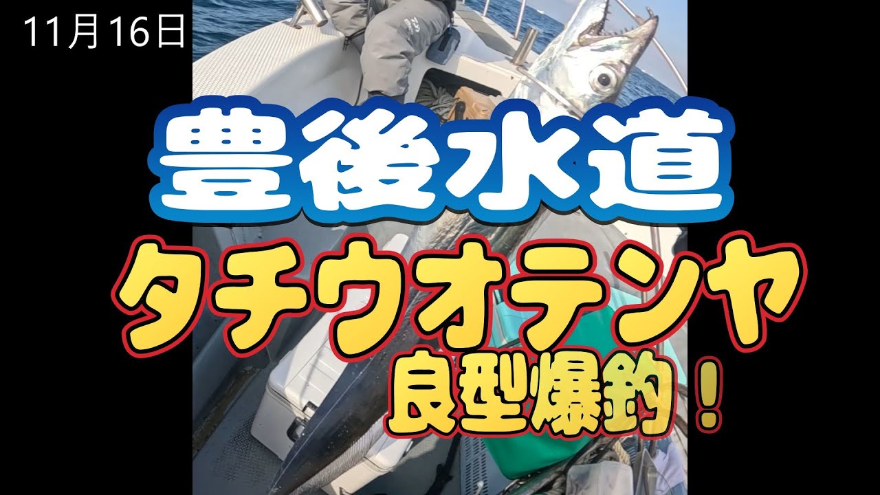 R7.11.16 豊後水道タチウオテンヤで良型爆釣！！
