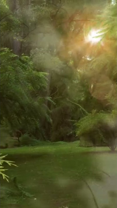 Nature GIF Video🌿