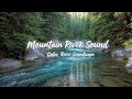 Healing River Sounds | Tranquil Forest Sounds for Meditation #Meditation