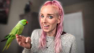 My First Time Having an INDIAN RINGNECK PARROT! (Yikes)