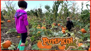 Lone Pine Farm Halloween Pumpkin Patch - Mining, Pumpkin Hunting, Goats and More!