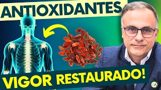 4 MELHORES ANTIOXIDANTES (Vitaminas) que NUNCA DEVEM FALTAR