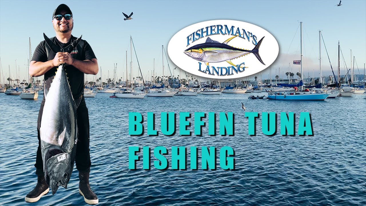 FISHERMAN'S LANDING LIBERTY // Penn Fathom 40 vs. BLUEFIN TUNA!!