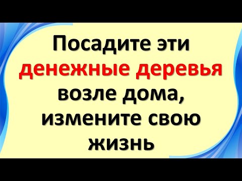 Видео: Кое е по-добро червен или жълтоперен тон?