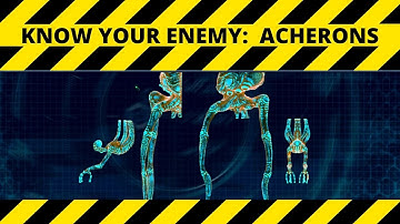 Phoenix Point Training:  Jeric