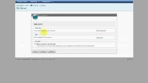 Enable DNS in WebsitePanel