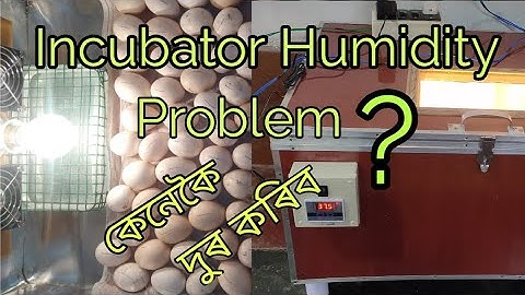 How to solve Incubator Humidity problem || আৰ্দতা সমস্যা || SG Rangpur