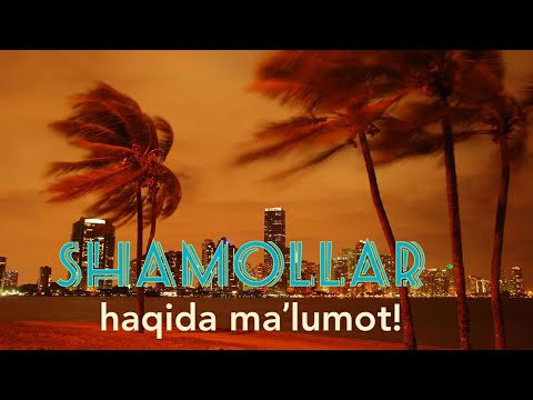 Video: Shamol guli nima deb ataladi?