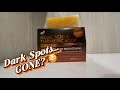 Artnaturals Kojic Acid Soap + African Net Sponge Overview | Is It Worth It? #ad #amazoninfluencer