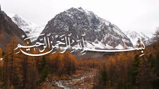 Surah An Nasr - 🎙Sh. Noreen Mohamed Siddiq رحمه الله