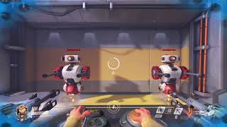 Overwatch - Wrecking Ball Adaptive Shield