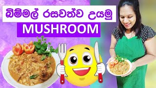 Sri Lankan Cooking Mushroom Curry බිම්මල් කරිය Bimmal Hathu Uyala