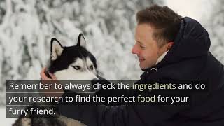 Feeding Your Husky: The Best Dog Foods for Their Unique Characteristics and Lifestyle
