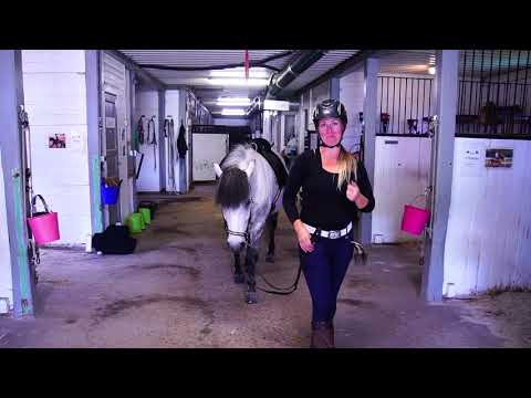 Video: 5 sätt att förbereda en hästtävling