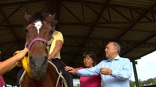 Dia Estadual da Equoterapia é comemorado nesta quarta-feira