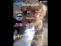 #cute #lifeisbutadream #emoji #noflop #capcut