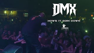 DMX - How's it Goin Down|Live in New Orleans!