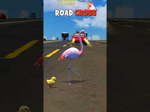 Czym jest kod promocyjny Chicken Road i dlaczego traci ważność?