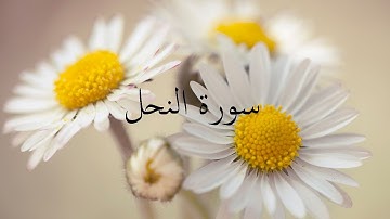سورة النحل 16